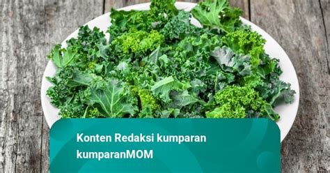 Manfaat Kale Untuk Kesehatan Ibu Hamil Kumparan