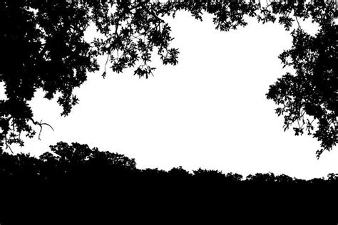 Tree Silhouette Border