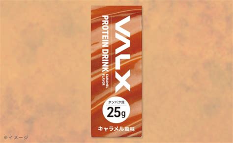 【かなりわけあり】【タンパク質25g】valx 「protein Drink プロテインドリンク キャラメル風味紅茶風味」 200ml×24