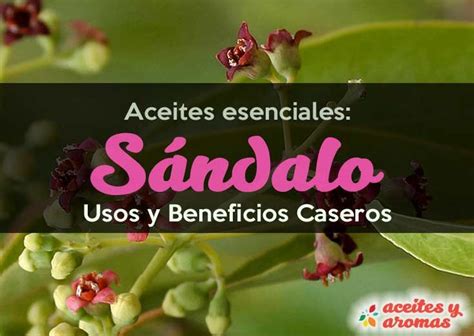 Aceite De S Ndalo Para Qu Sirve Usos Y Beneficios Aceite De