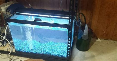 My 9th Tank Multiple Tank Syndrome Is Real Raquariums