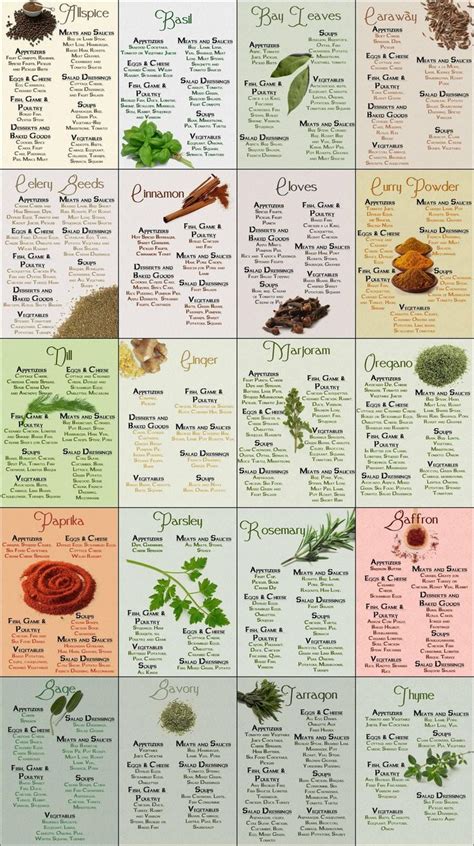 Chart Spices A Comprehensive Guide To Flavors In 2024