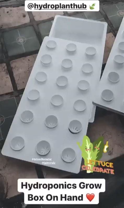 All In Styro Hydroponics Grow Box W Holes Cups W Slits