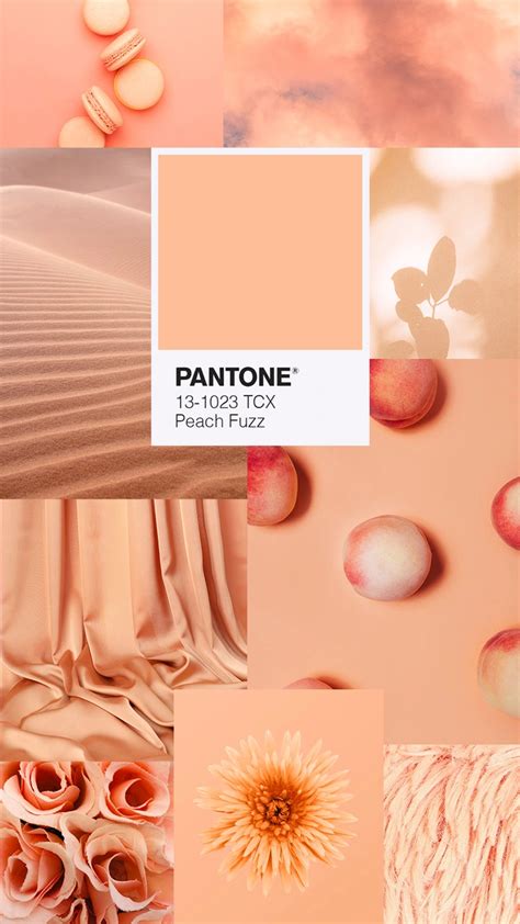 Peach Fuzz Color Pantone 2024 Peach Fuzz Peach Color Palettes