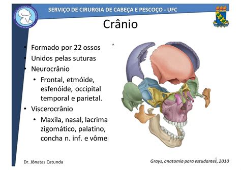 Anatomia De Cabeça E Pescoço Dr Jônatas Catunda Ppt