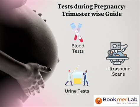 Pregnancy Test Scan Results at Clara Delgado blog