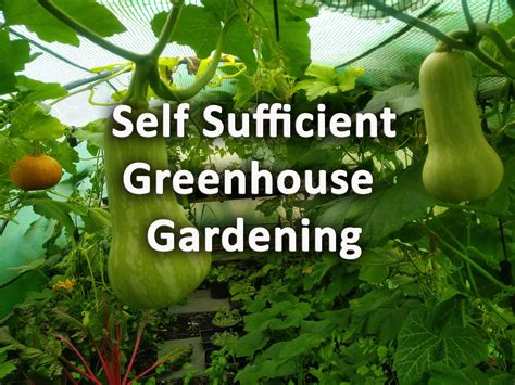 Self Sufficient Homesteading Self Sufficient Homesteading