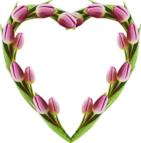 Tube Fleurs Tulipes Png Coeur Flowers Png Heart