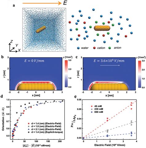 Dissipative Particle Dynamics Simulations Of A Charged Nanorod In An Download Scientific