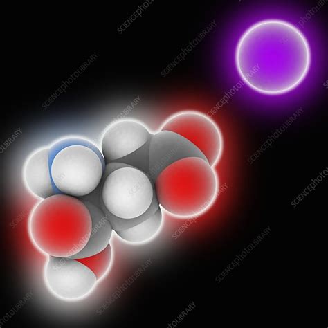 Monosodium Glutamate Molecule Stock Image C025 9434 Science Photo