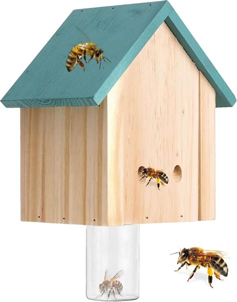 Amazon Wood Carpenter Bee Trap For Outside Wood Boring Bee Trap