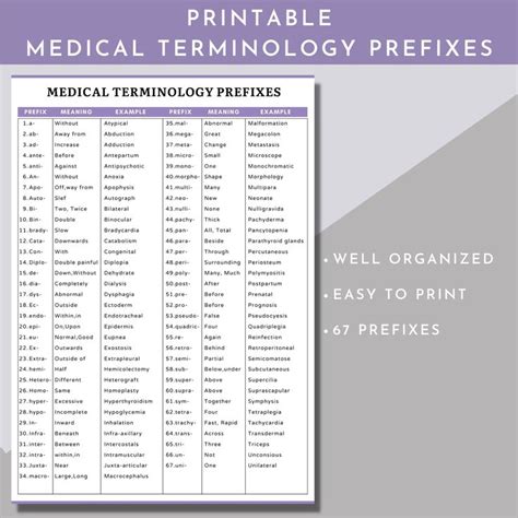 Medical Terminology Flashcardsmedical Terminology Prefixes And