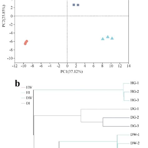 Beta Diversity Analyses Of Bacteria Community A Principal Component