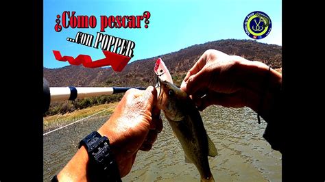 C Mo Pescar Lobinas Con Popper Pesca En Superficie Youtube