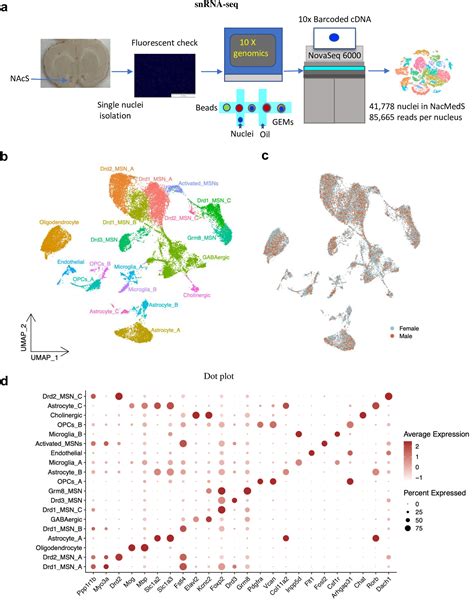 Sex And Cell Specific Gene Expression In Corticolimbic Brain Regions Associated With Psychiatric