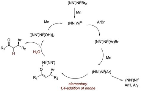 基于14 加成基元过程的ni催化不对称还原性共轭（杂）芳基化反应 X Mol资讯