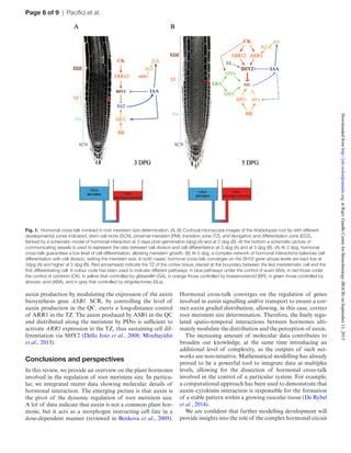 Article Pdf