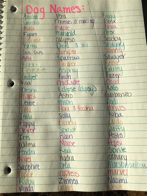 good funny animal names 9