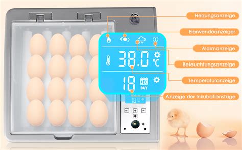 Zimiking Incubateur D œuf Couveuse Automatique 16 Oeufs Incubateur avec