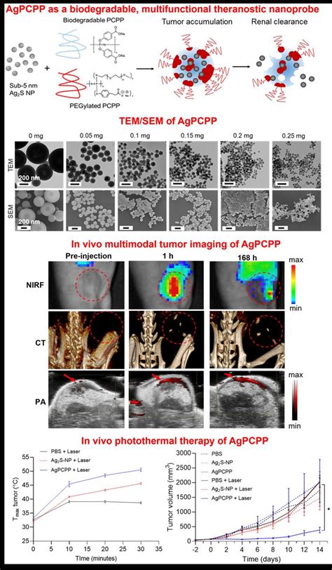 Multimodality Detection And Treatment For Breast Cancer With A