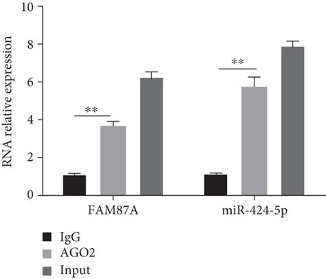 FAM87A Inhibits The MiR 424 5p Expression A The Venn Diagram Of