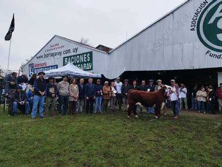 Ganadera Del Norte Negocios Rurales La Nacional Hereford Es La