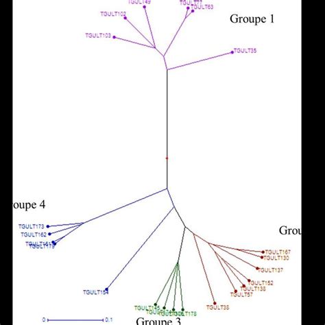 Dendrogram Based On Upgma Analysis Generated Using The Euclidean