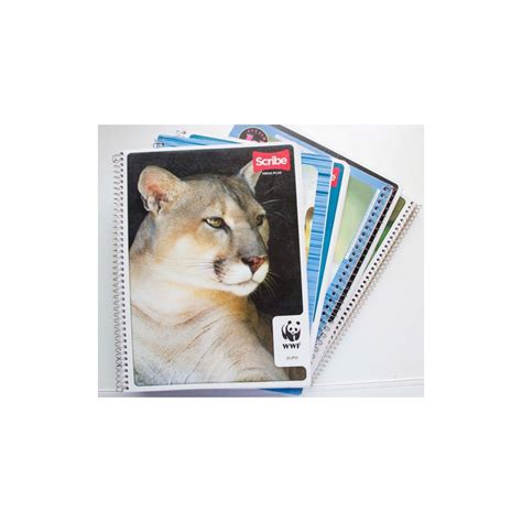 CUADERNO PROFESIONAL SCRIBE RAYA MEGA PLUS 100H