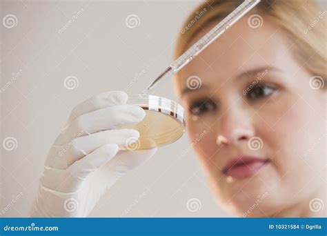 Female scientist stock photo. Image of medical, development - 10321584