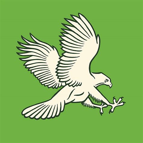 Top Eagle Talon Clip Art Vector Graphics And Illustrations Istock