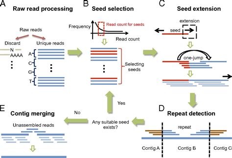 Assembler For De Novo Assembly Of Large Genomes Pnas