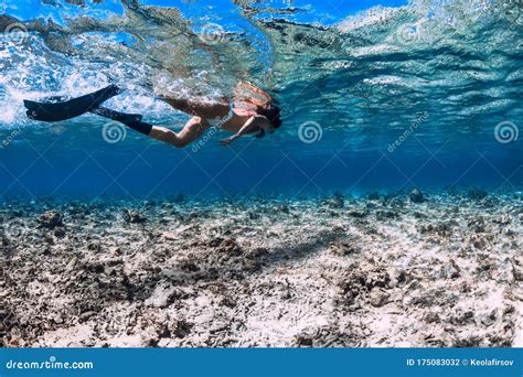 Woman Freediver In Bikini Glides With Fins Over Sandy Sea Freediving In A Tropical Sea Stock