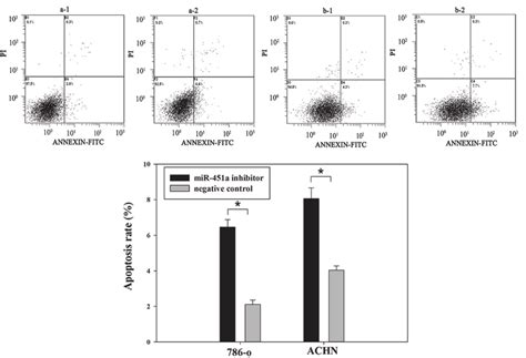 Flow Cytometric Analysis Of Apoptosis Of O And Achn Renal Carcinoma