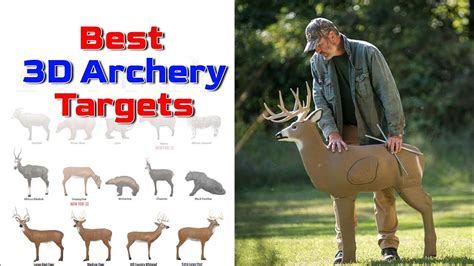 Best 3d Archery Targets Of 2024 Amazon Archery Target Youtube