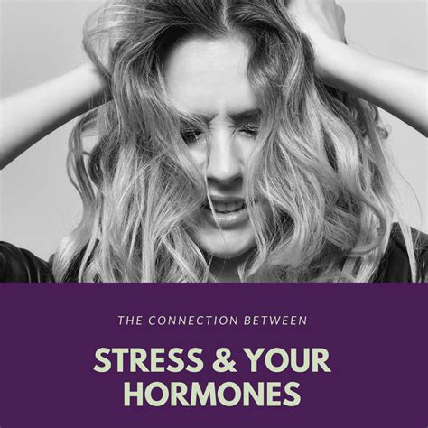 The Connection Between Stress And Your Hormones Capital Women S Care Of Rockville