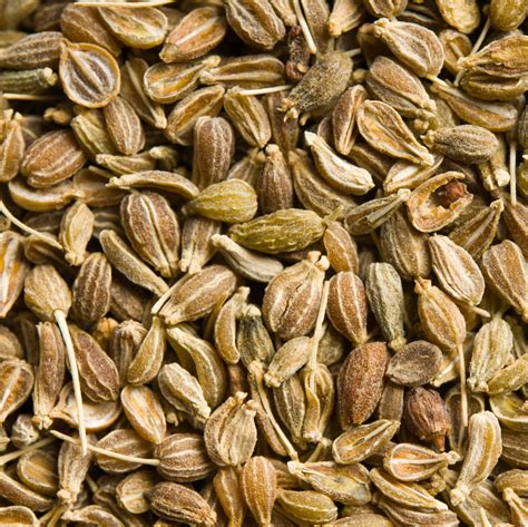 TIMELESS Pure Aniseed essential oil is a natural decongestant ...
