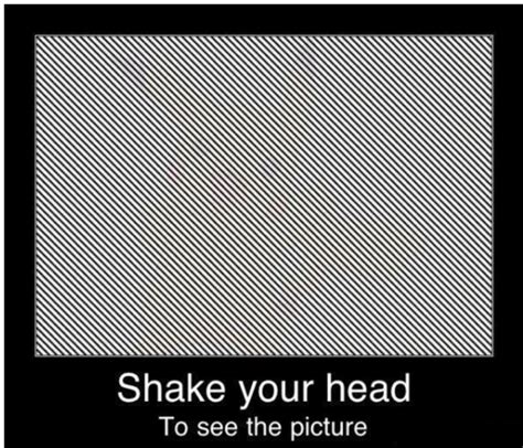 Shake Your Head to Reveal the Optical Illusion