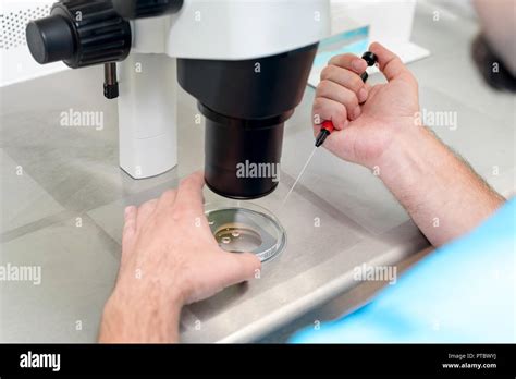 Microscope fertility clinic egg fertilization hi-res stock photography ...