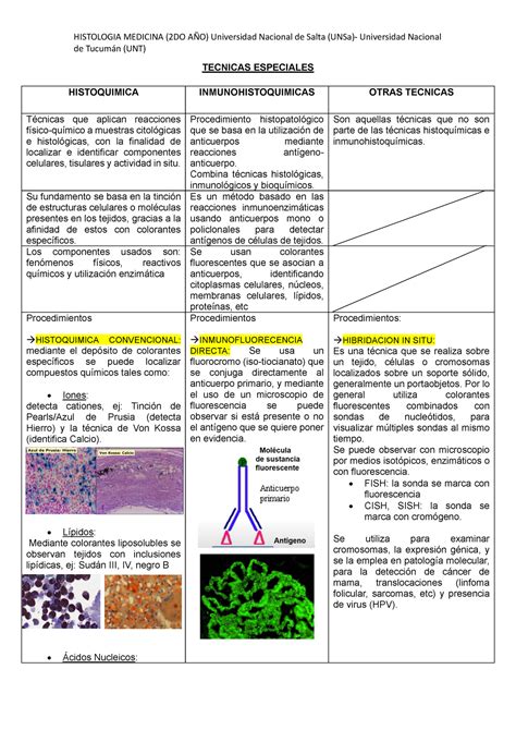 Cuadro De Tecnicas Histologicas Especiales Unsa Unt Histologia