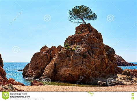 Rocky Seaside Of Mar Menuda Beach In Tossa De Mar Costa Brava Stock