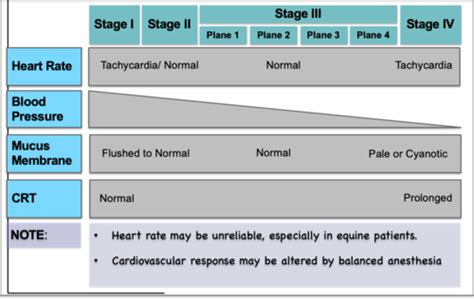 Cardiac Respiratory Monitoring In Anesthesia Flashcards Quizlet