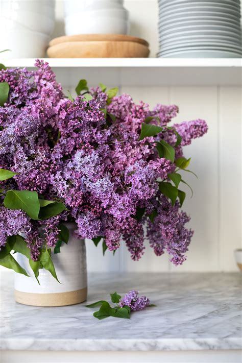 How to Arrange an Overflowing Bouquet of Lilacs & Keep Them From ...