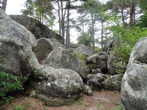 Buthiers Parc Naturel R Gional Du G Tinais Fran Ais