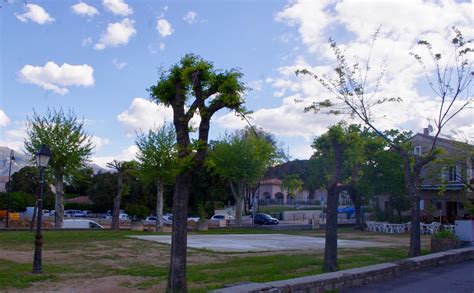 Cauro Communauté De Communes De La Pieve De Lornano Et Du Taravo