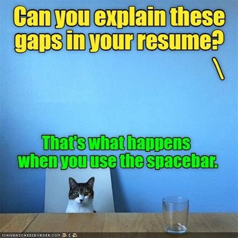 Typing 101 - Lolcats - lol | cat memes | funny cats | funny cat ...