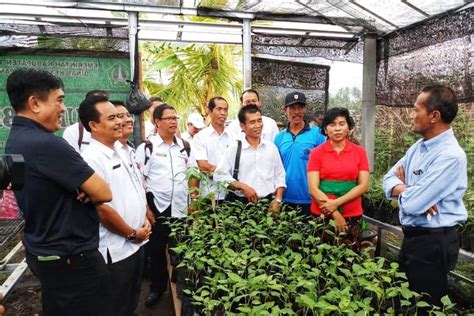 Kementan Sasar Pengembangan Juta Hektar Lahan Pekarangan Katadata