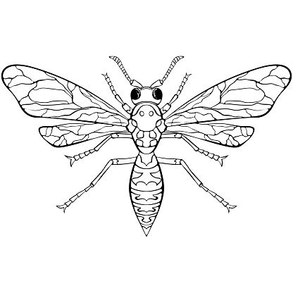 Wasp With Spread Wings Stock Illustration - Download Image Now - Animal ...