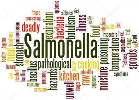 Salmonella Word Cloud Concept Stock Photo Kataklinger