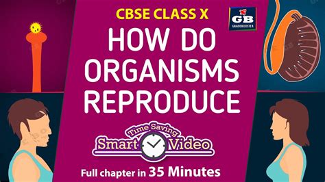 How Do Organisms Reproduce Class Fullchapter Class Th Cbse