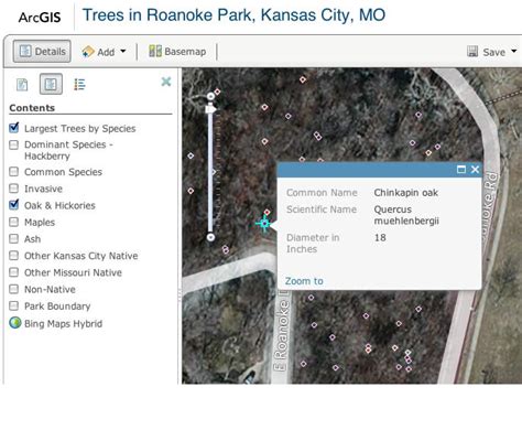 Tree Inventory Results